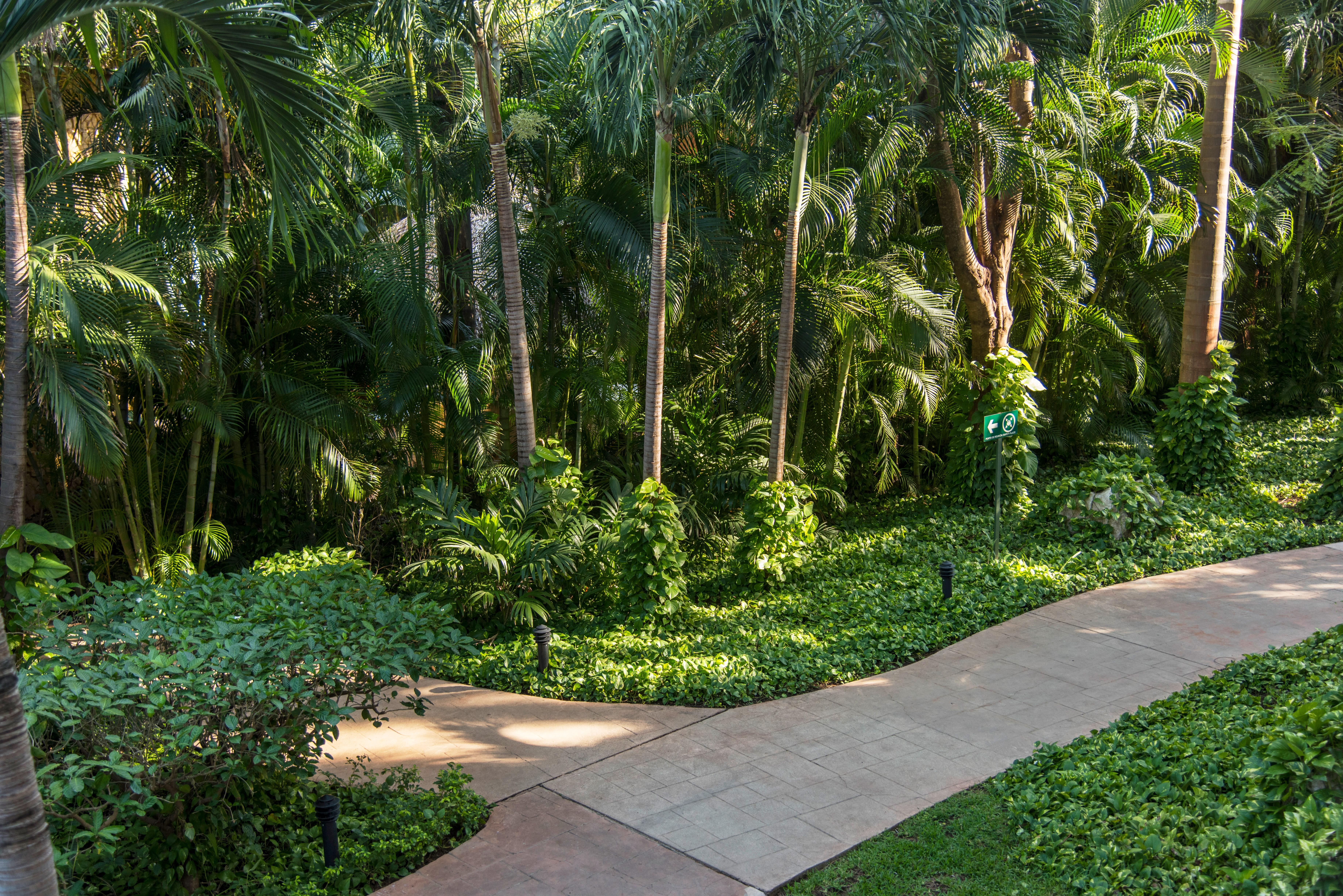 Occidental Tamarindo Hotel Exterior photo